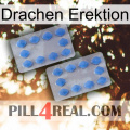 Dragon Erection 20